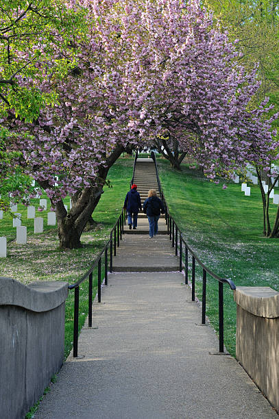 Arlington National Cemetery "Arlington National Cemetery in Spring, Arlington, Virginia, USA" arlington cemetery in spring stock pictures, royalty-free photos & images