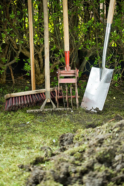 Use in the garden Gardening tools are available at a hedge against a pile of humus and soil kultivieren stock pictures, royalty-free photos & images