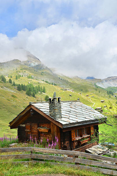 Small alpine hut with stacked firewood on a grassy meadow surrounded by evergreen trees and rocky peaks near Seealpsee in Appenzell, Switzerland, under a clear blue summer sky.