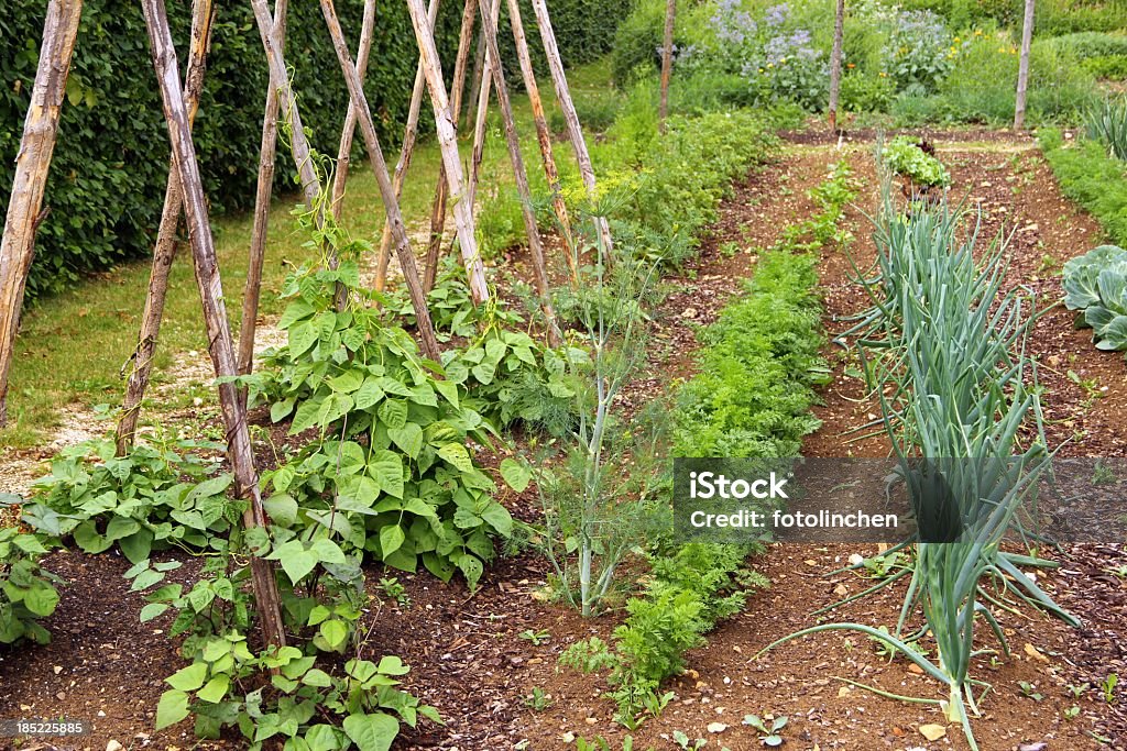 Big Gemüsegarten - Lizenzfrei Gemüsegarten Stock-Foto