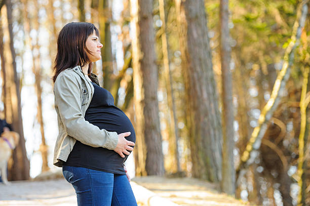 istock Pregnant woman in nature 185225908