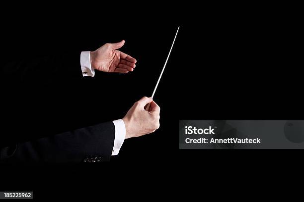 Conductor Using His Hands To Orchestrate Stock Photo - Download Image Now - Musical Conductor, Orchestra, Stick - Plant Part
