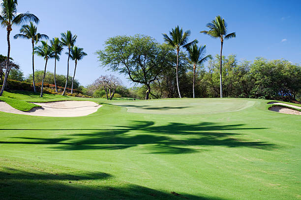 Beautiful Golf Course on Maui Hawaii stock photo
