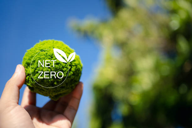 Efficient Global Management of Zero Waste and Air Pollution for a Sustainable Planet