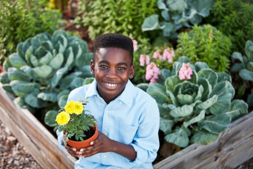 African American boy (10 years) sitting on garden planter filled with vegetables, herbs and flowers.