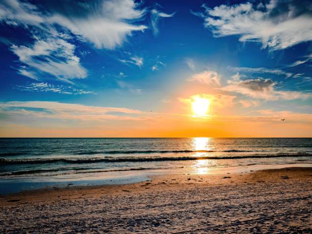 istock Florida Birding and Hiking 1852267442