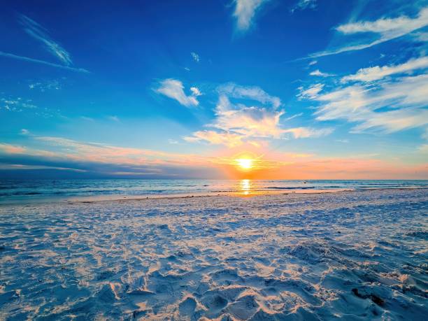 istock Florida Birding and Hiking 1852267443