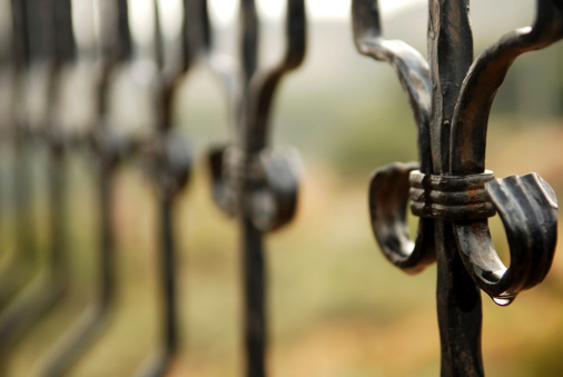 Black wrought iron fence and the raindrop