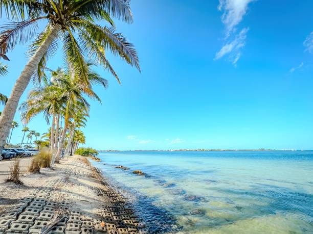 istock Florida Birding and Hiking 1852267997