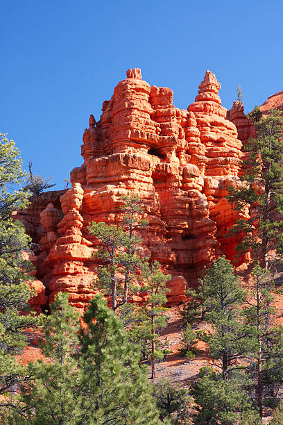 istock Red Canyon. Utah. USA. 185227203