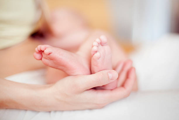 istock Newborn baby`s feet in mother`s hand 185227220