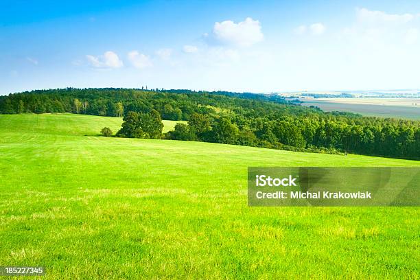 Grüne Landschaft Stockfoto und mehr Bilder von Agrarbetrieb - Agrarbetrieb, Baum, Beliebiger Ort