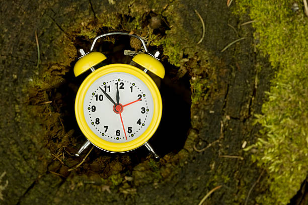 istock Signs of the Times 185227460