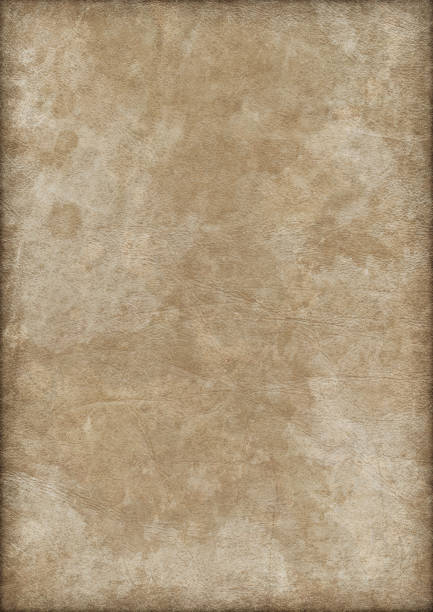 istock High Resolution Antique Animal Skin Parchment Crumpled Vignette Grunge Texture 185227635
