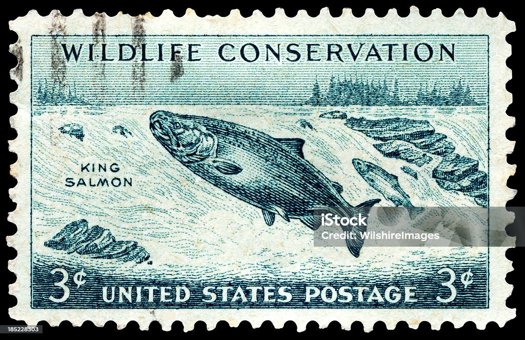Chinook King Salmon Wildlife Conservation Francobollo postale - Foto stock royalty-free di Francobollo postale