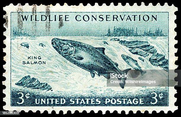 キングキングサーモンの野生保護郵便切手 - 郵便切手のストックフォトや画像を多数ご用意 - 郵便切手, 魚, キングサーモン