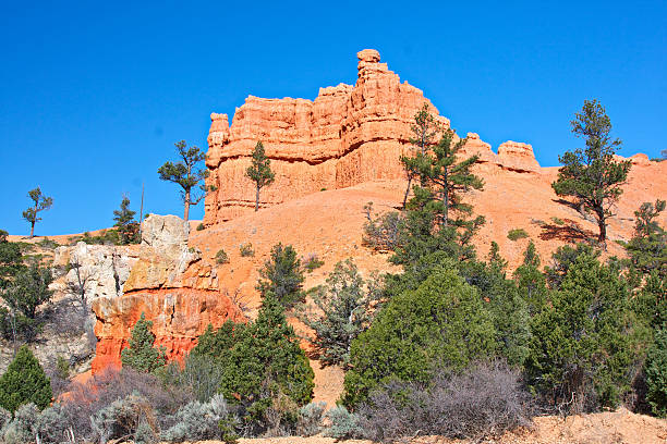 istock Red Canyon. Utah. USA. 185228412