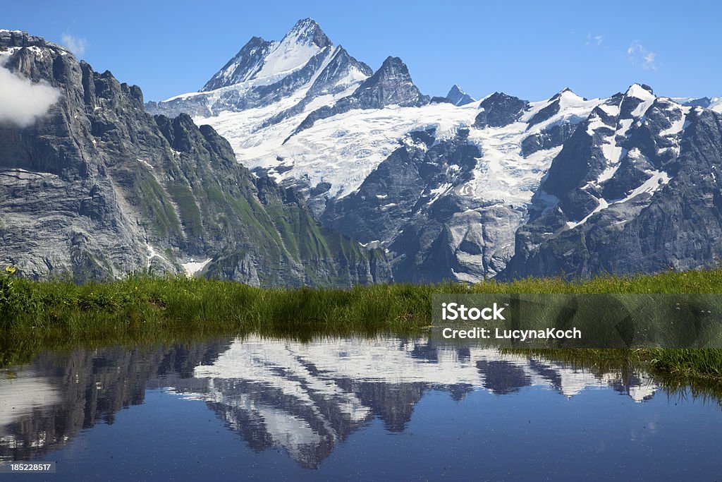 Die Berge im Sommer - Lizenzfrei Alpen Stock-Foto