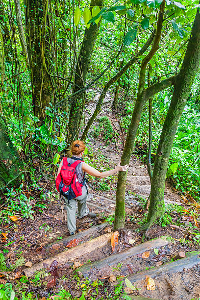 istock Vermont Nature Trail, St. Vincent 185228549