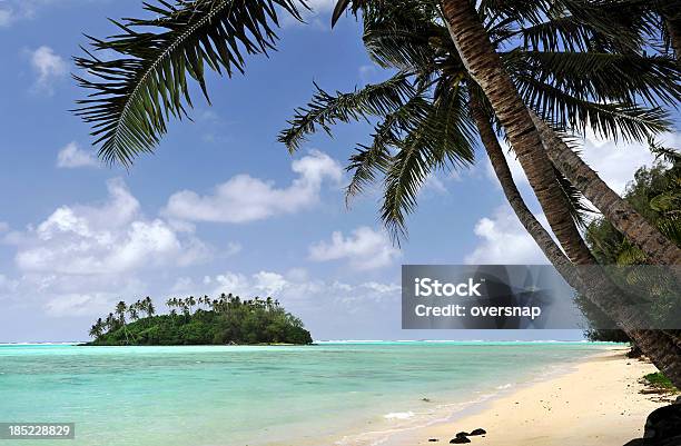 Isla Desierta Foto de stock y más banco de imágenes de Rarotonga - Rarotonga, Isla desierta, Palmera