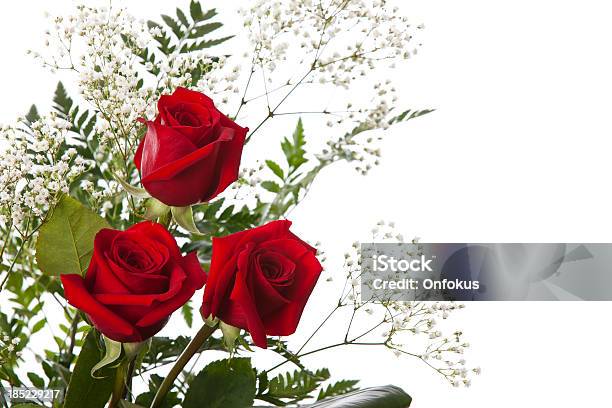 Foto de Rosas Isolado No Fundo Branco e mais fotos de stock de Amor - Amor, Aniversário, Bouquet