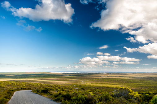 Road down a hill with wide panoramic view, De Hoop Nature Reserve, South Africa