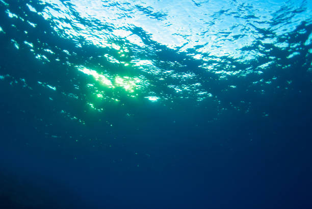 istock Underwater blue background with light in the sea 1852293492