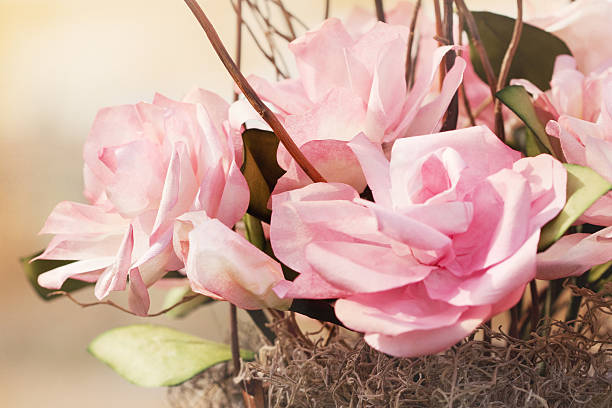 Rustic Pink Paper Roses Close up of pink paper roses (made from coffee filters). coffee filter stock pictures, royalty-free photos & images