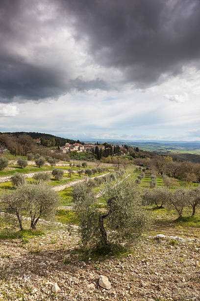 istock Landscape in Chianti, Tuscany, Italy 185229556