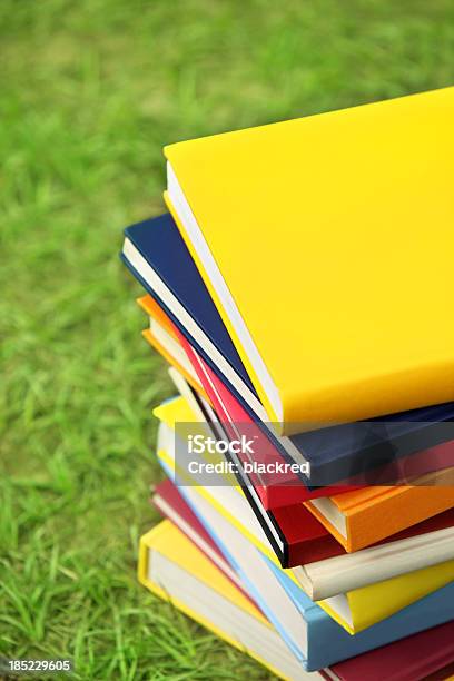 Stack Of Books To Study Stock Photo - Download Image Now - Book, Multi Colored, Stack