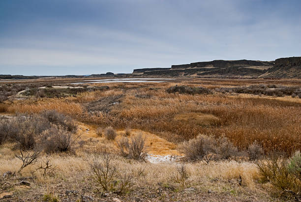 istock Desert Sagebrush and Mesas 185229627