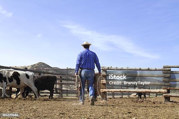 Cowboy - Fotografie stock e altre immagini di Bovino - Bovino, Rancher, Corda