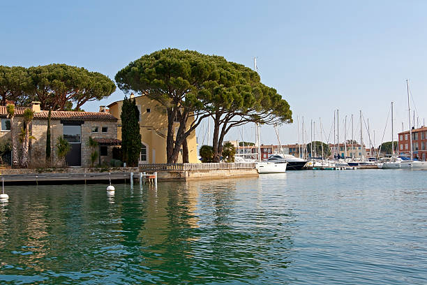 Yacht Harbor in Port Grimaud. "Yacht Harbor in Port Grimaud, South of France. Port Grimaud is part of the village Grimaud, near Saint-Tropez. Port Grimaud is a seaside town on the bay of Saint Tropez. It was built with channels in a Venetian manner, but the houses are in Provence style." pinus pinea photos stock pictures, royalty-free photos & images