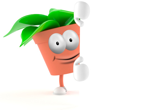 Plant toon isolated on white background