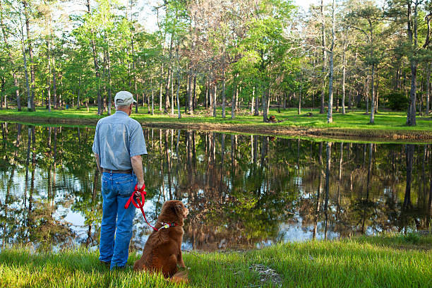 istock Texas lake.  Senior man and dog in foreground. 185230757