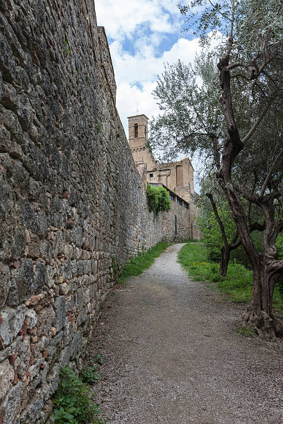 istock San Gimignano, Tuscany, Italy 185230861