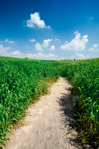 A path in a green field and a blue sky