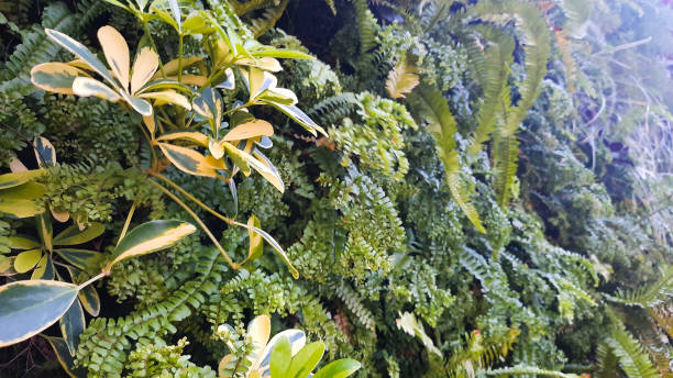 istock beautify and green urban buildings 1852311517