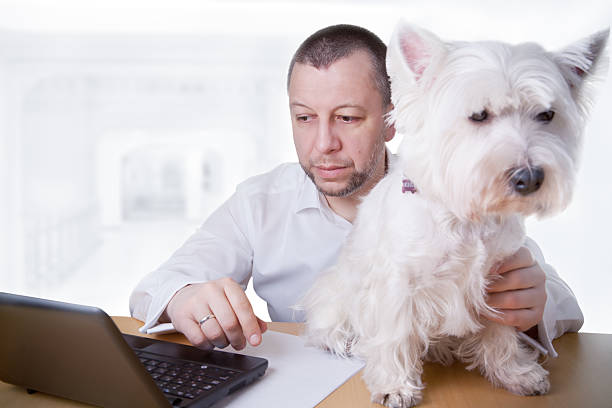 istock Veterinarian doctor and dog 185231204