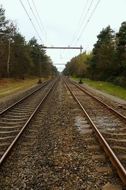 Railway tracks in a forest on an overcast day.