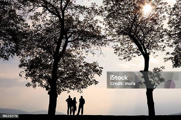 Silhouette Von Jungen Menschen In Den Sonnenuntergang Stockfoto und mehr Bilder von Baum