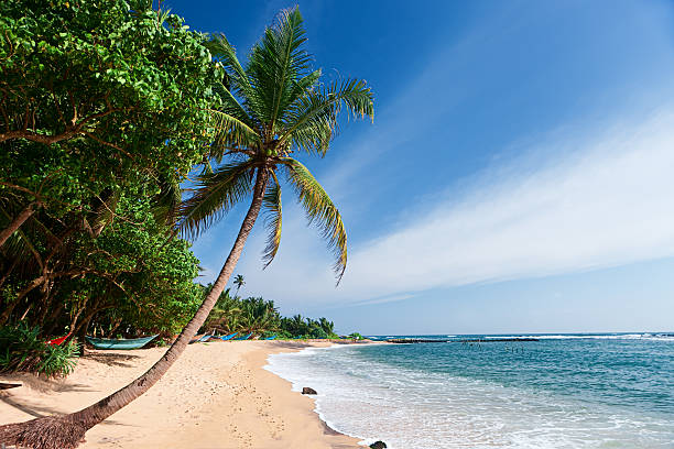 Tropical paradise idyllic beach. Sri Lanka