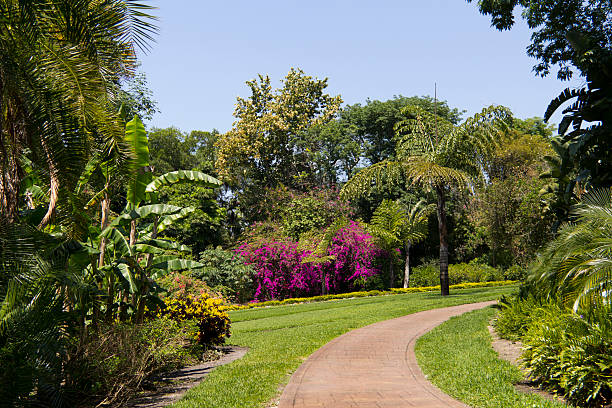 istock Cypress Gardens In Florida 185232308