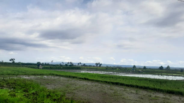 istock agricultural country 1852324415