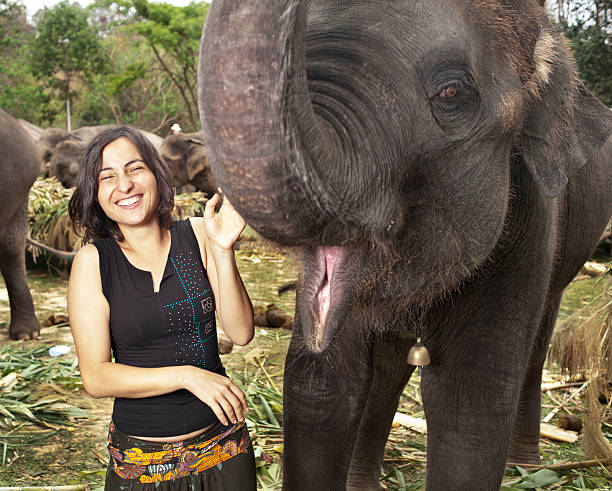 istock Woman and Elephants 185232533