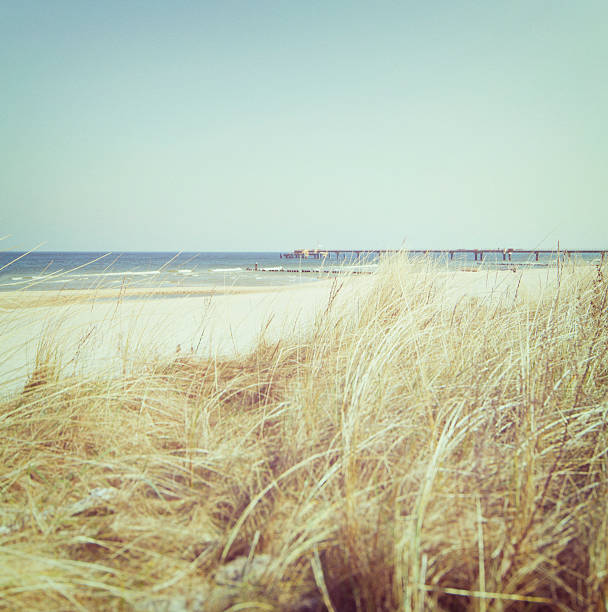 istock Silent beach at the Baltic Sea 185232746