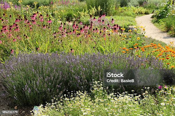 Herb Garden In Estate - Fotografie stock e altre immagini di Lavanda - Pianta - Lavanda - Pianta, Giardino pubblico - Giardino, Orto delle erbe