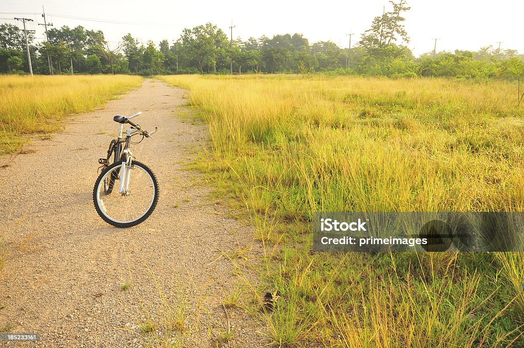 Bicicletta con la luce del sole nel campo - Foto stock royalty-free di Ambientazione esterna