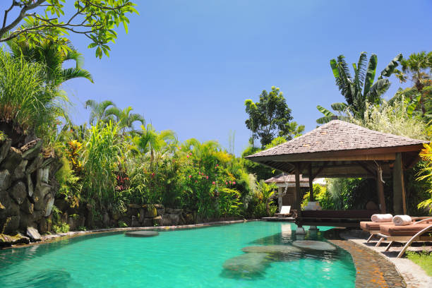 piscine privée de la villa de luxe (xxxl - travel destinations polarizer outdoors luxury photos et images de collection