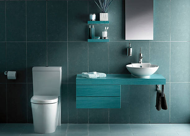 istock Interior of bathroom in cold tone 185233297